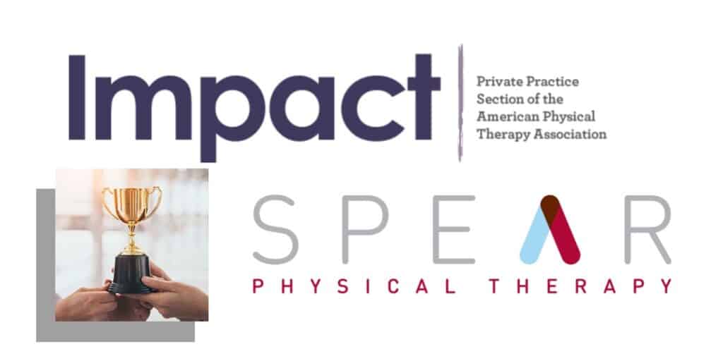 SPEAR CEO and CO-founder Dan Rootenberg receives the Private Practice Section Board Service Award