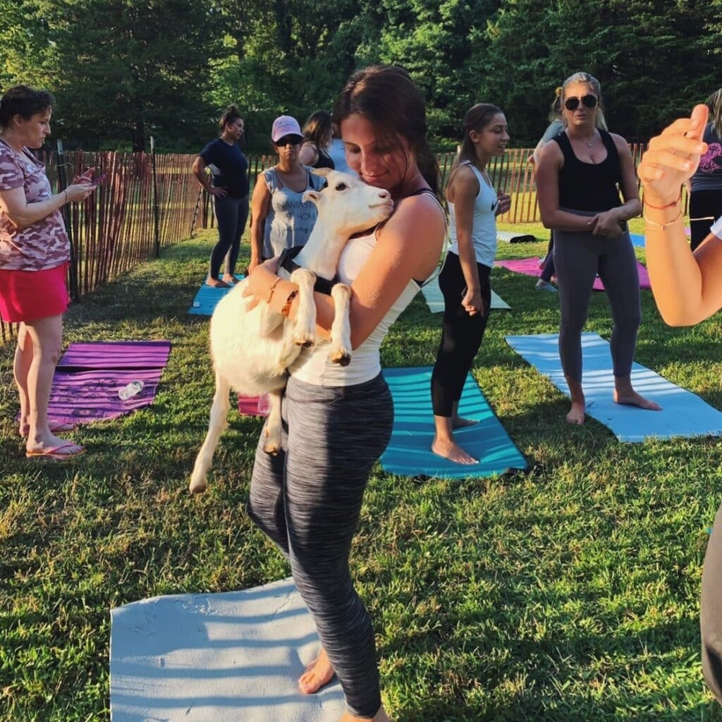 Marina Abbatiello with goat during yoga session